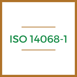 iso icon
